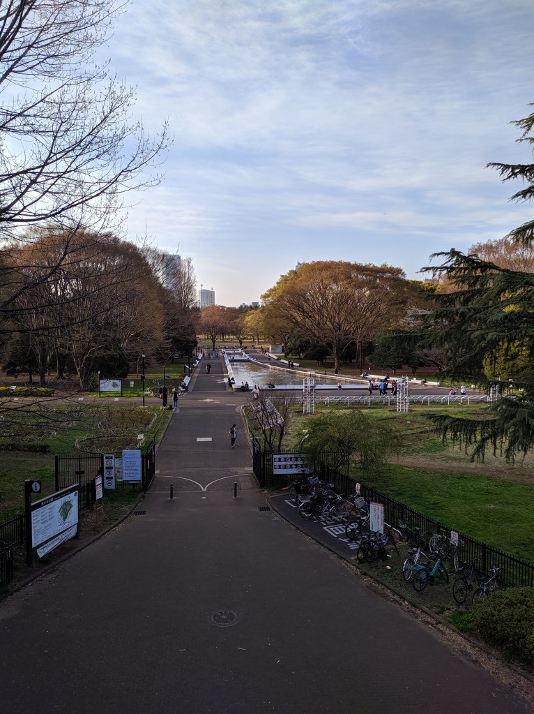 Vista panorâmica do Yoyogi Park em Tóquio, mostrando um amplo caminho central, árvores ao redor e pessoas aproveitando o espaço ao ar livre.